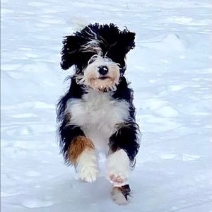 Meet your Posher, Elizabeth